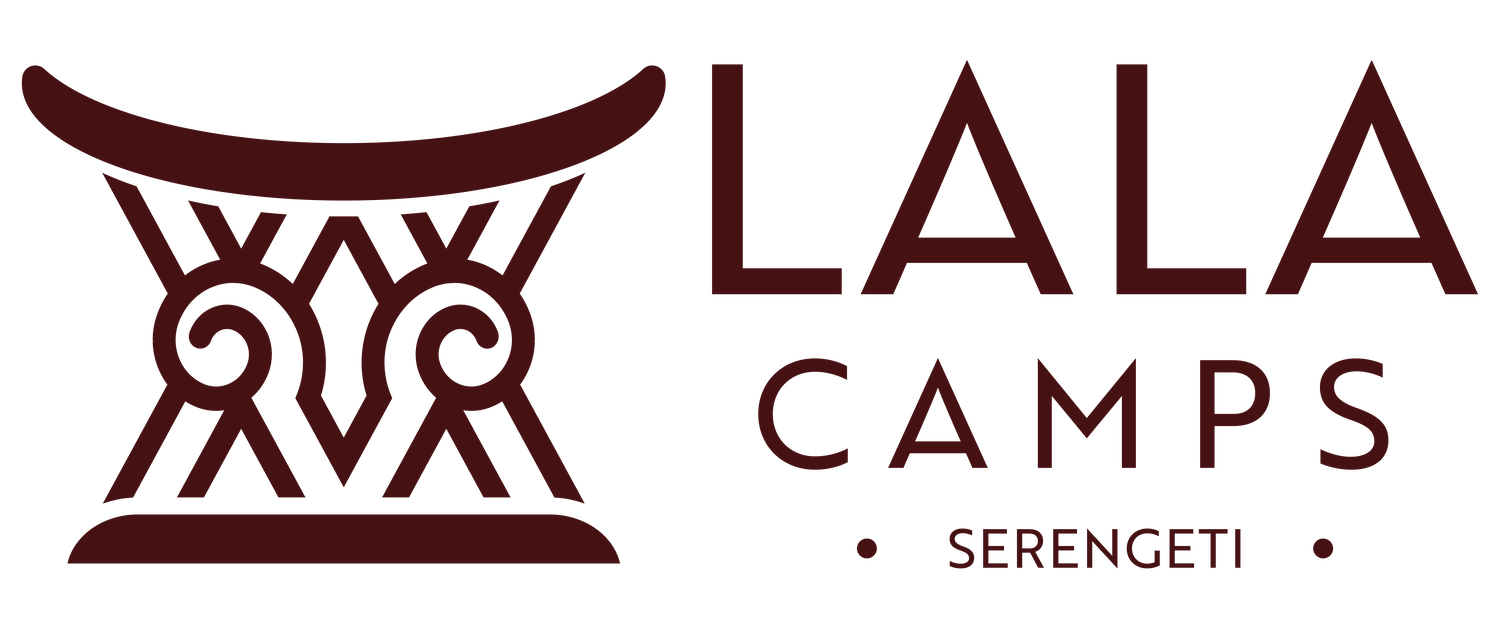 logo-01